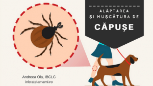 Mușcătura de căpușe și borelioza în timpul alăptării