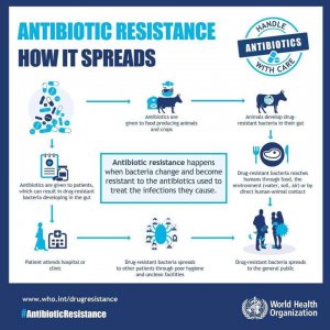 Rezistența la antibiotice. Pericolul suprem!